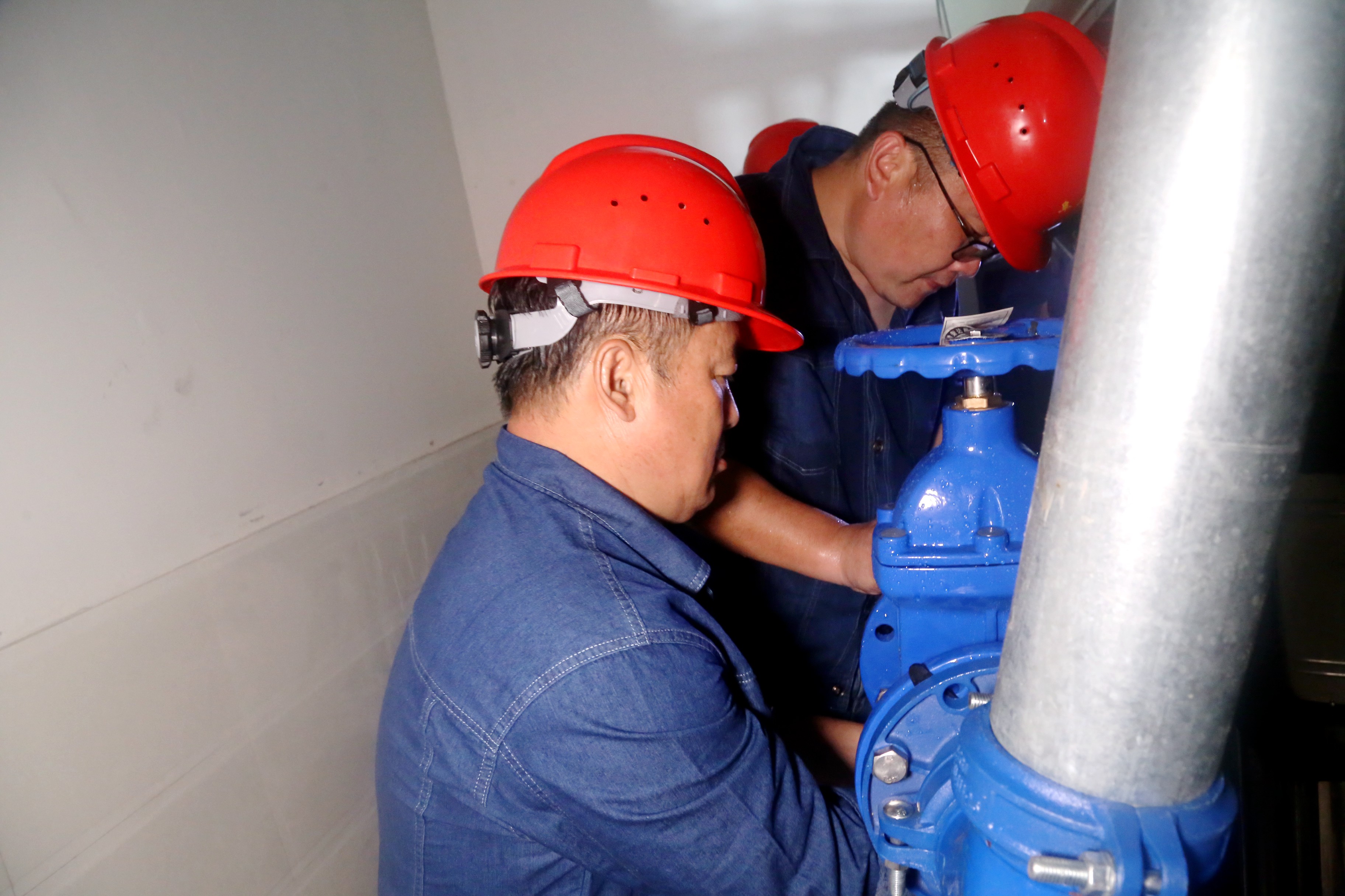 1626318456a391957.jpg 1626318456a391957.jpg