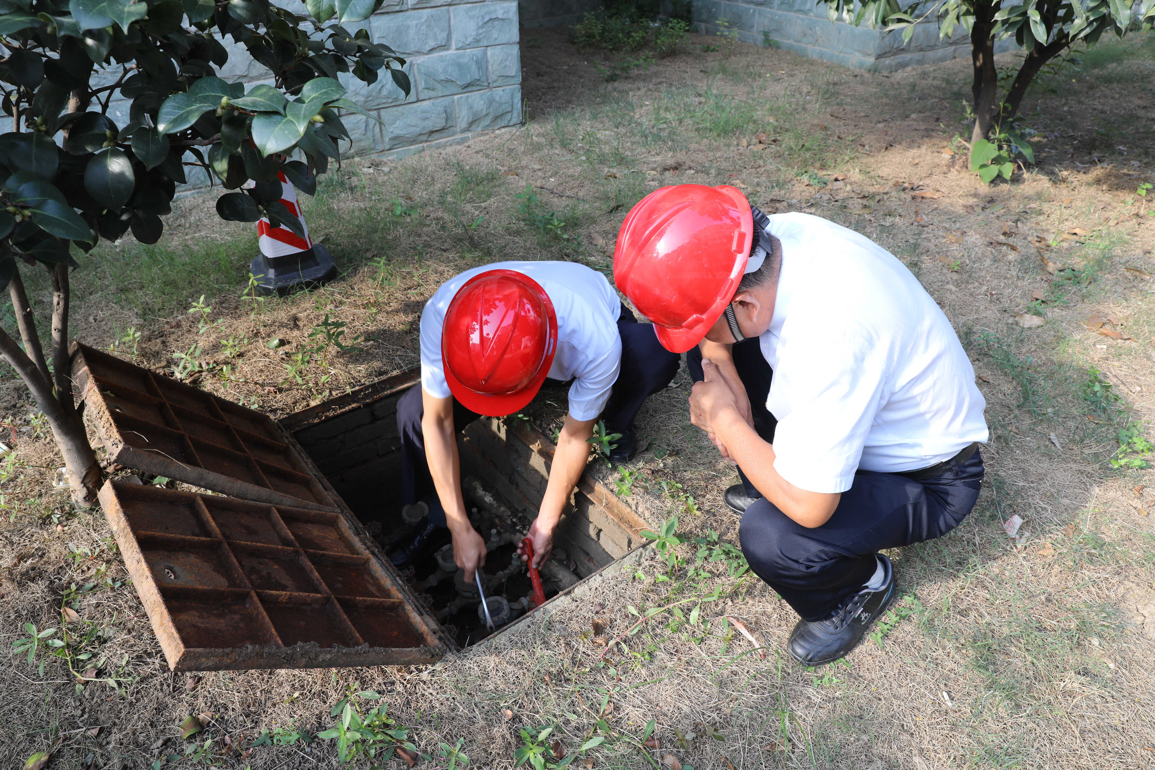 1632988256a231676.jpg 1632988256a231676.jpg