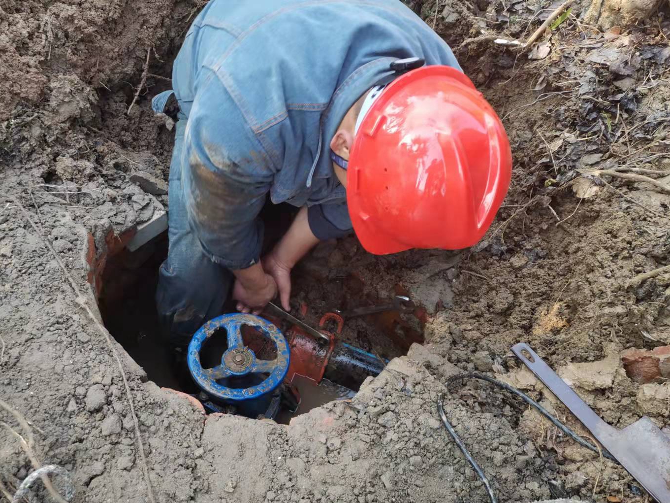 1641022529a491251.jpg 1641022529a491251.jpg