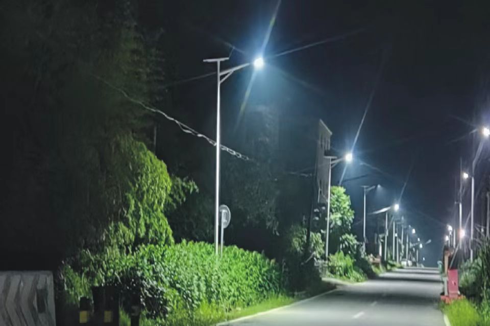 1663811909a759866.jpg 1663811909a759866.jpg