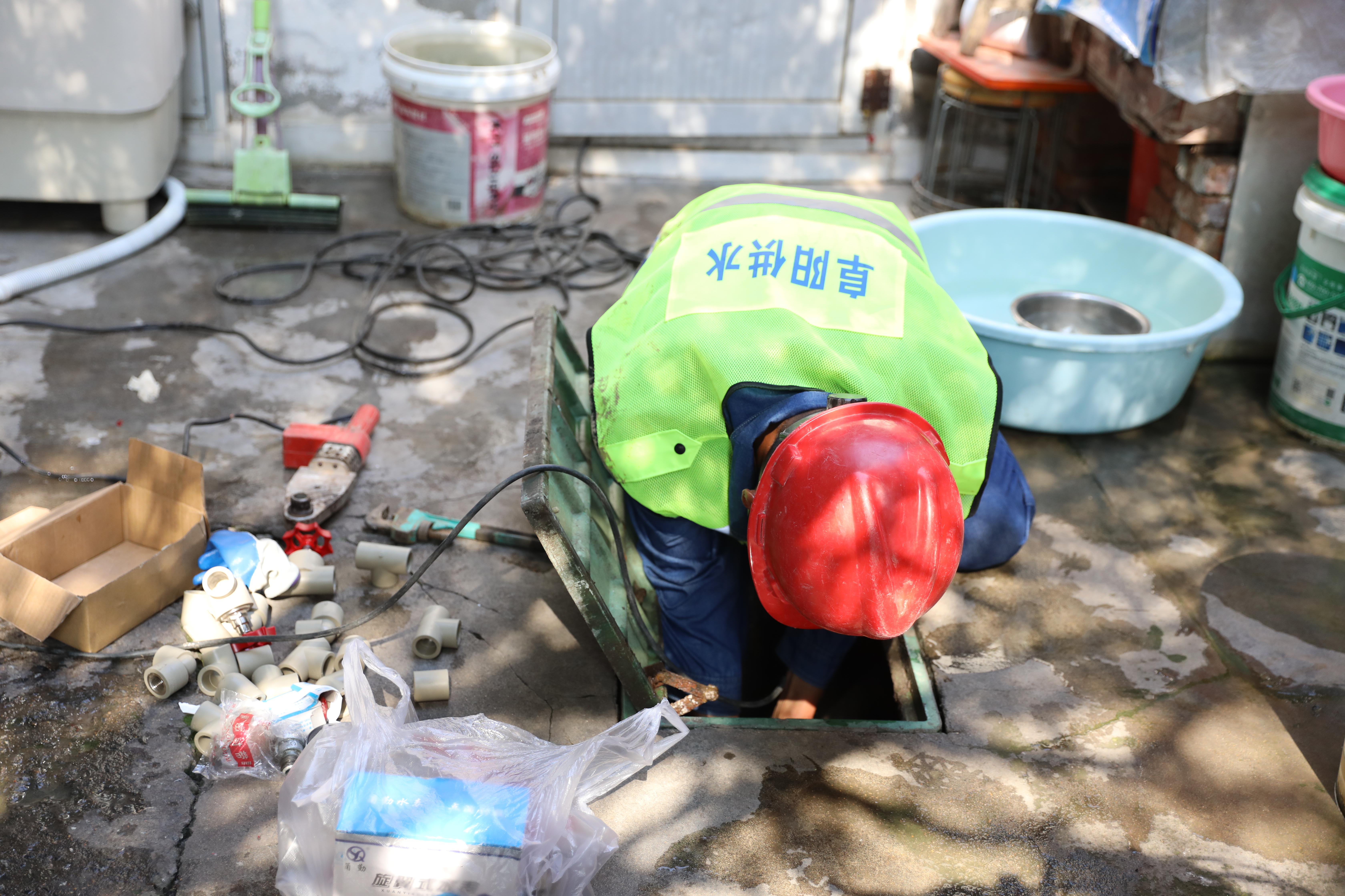 1686557025a293723.jpg 1686557025a293723.jpg