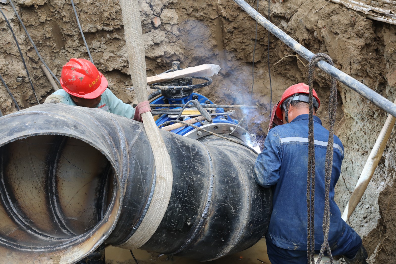 1698800801a290875.jpg 1698800801a290875.jpg