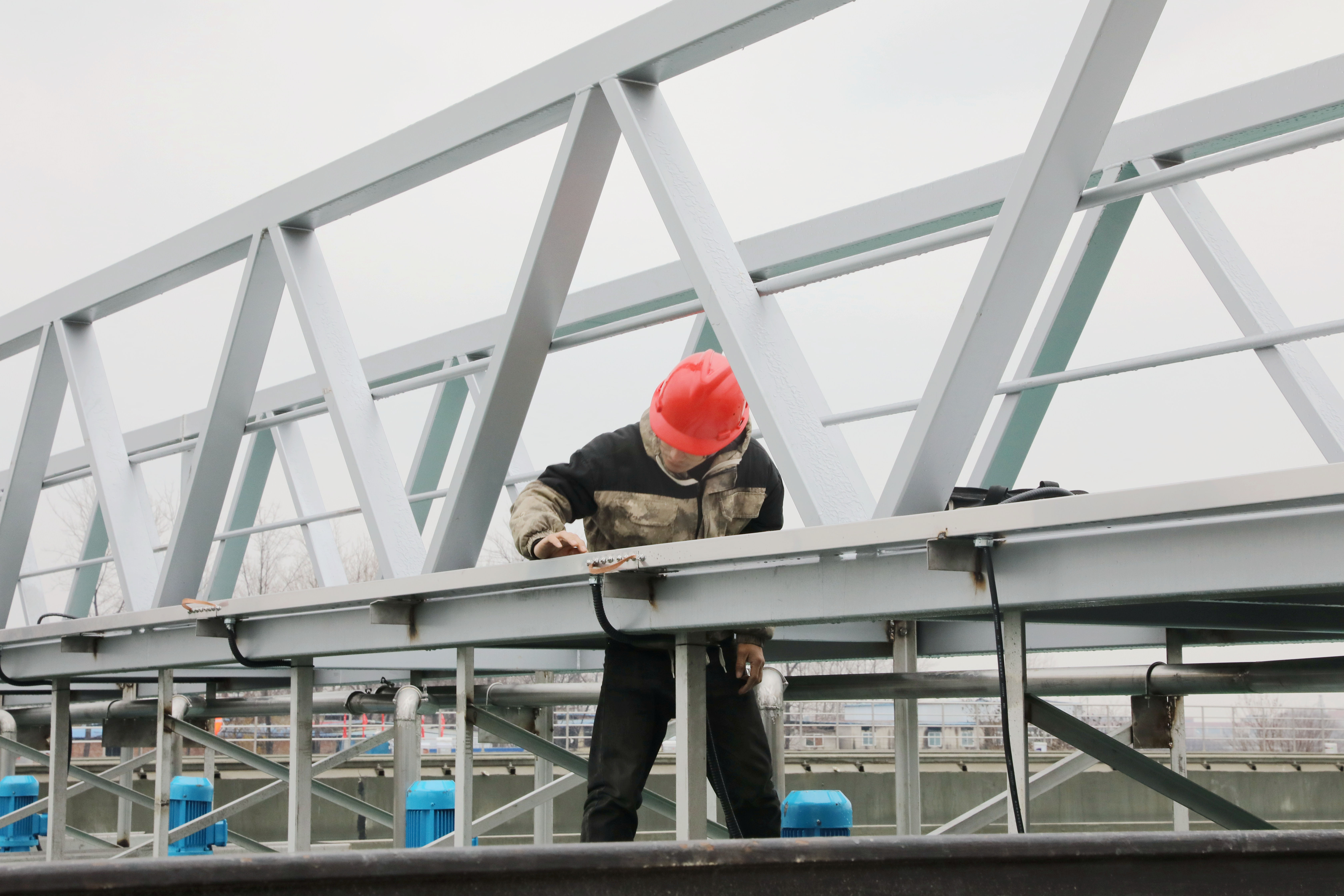 1702868453a559525.jpg 1702868453a559525.jpg