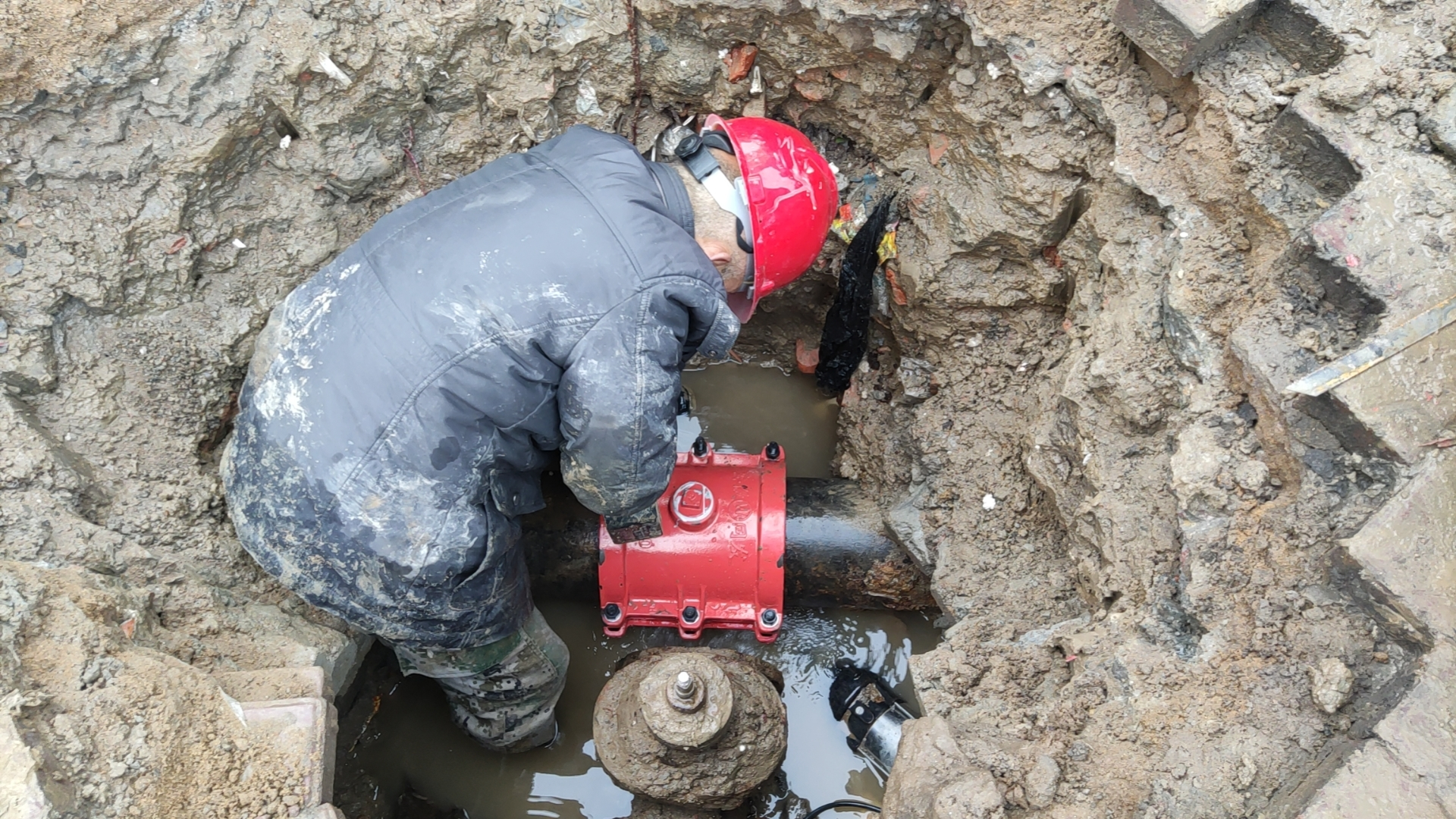 1707186877a599671.png 1707186877a599671.png