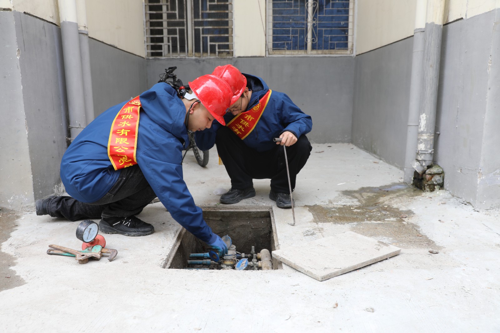 1712795183a283669.jpg 1712795183a283669.jpg